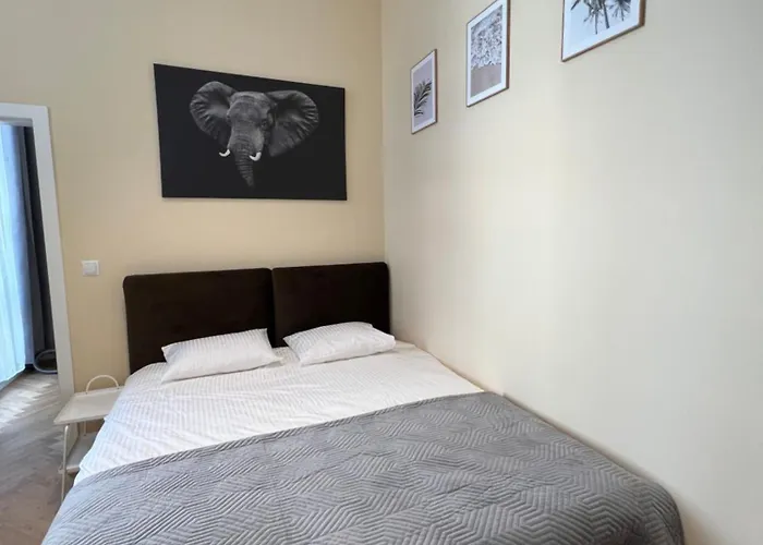 Apartament Piekna 16a *